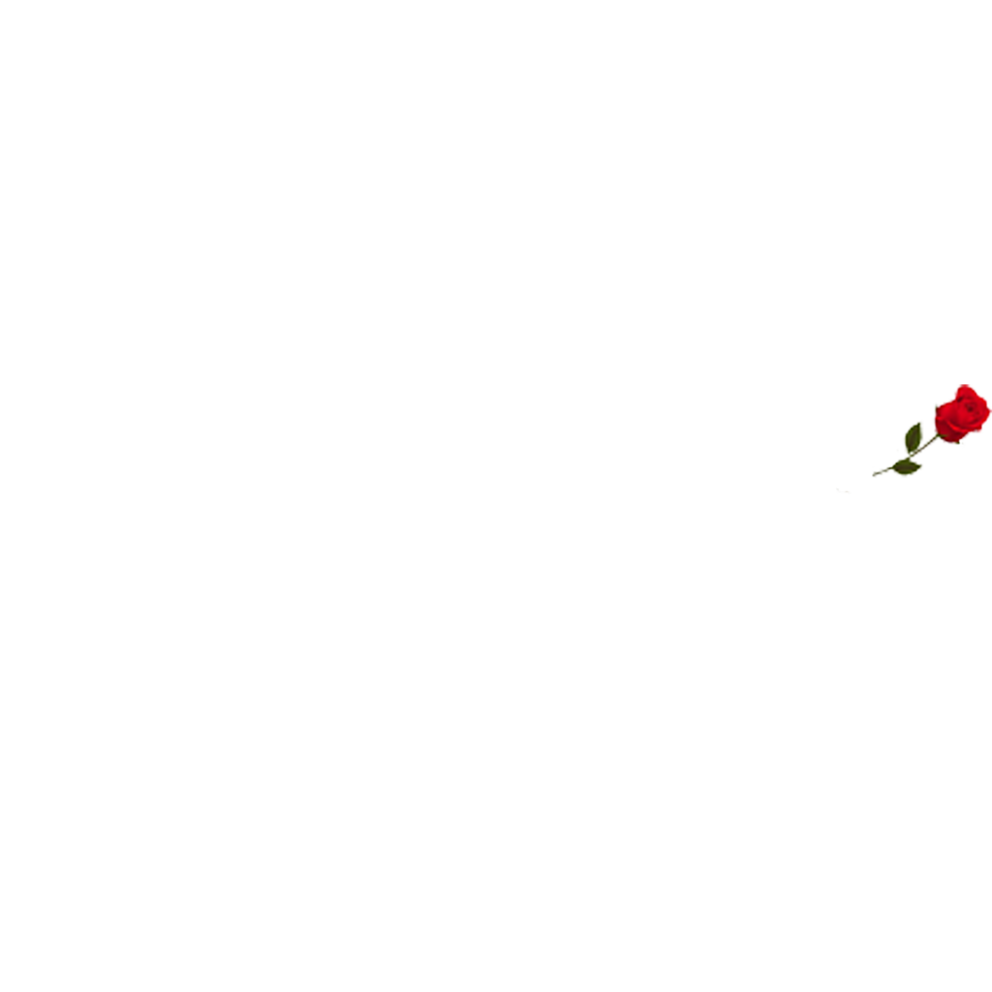 Rose Duley Photography